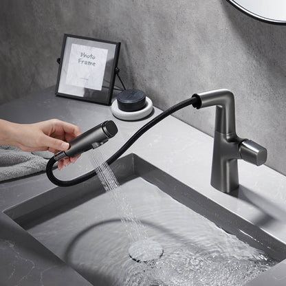 Kitchen Brass Pull-Out Faucet | Elegant Dual-Mode Kitchen Sink Faucet with Sprayer 2